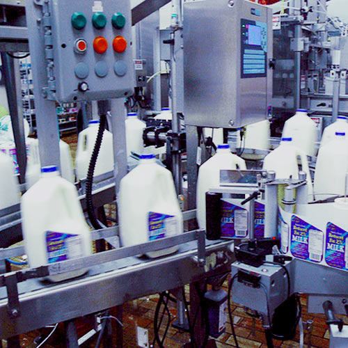 Индустрия: как происходит переработка молока для реализации?