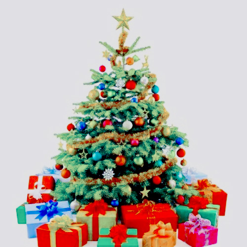 Рождественская елка: натуральная либо искусственная?