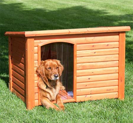 Дом либо вольер для собаки на даче